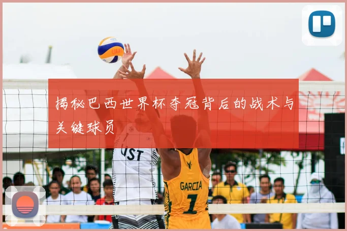 揭秘巴西世界杯夺冠背后的战术与关键球员