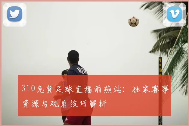 310免费足球直播雨燕站：独家赛事资源与观看技巧解析