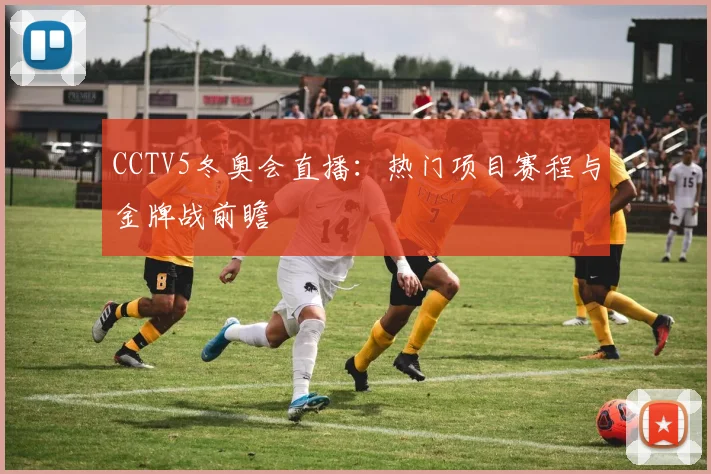 CCTV5冬奥会直播：热门项目赛程与金牌战前瞻