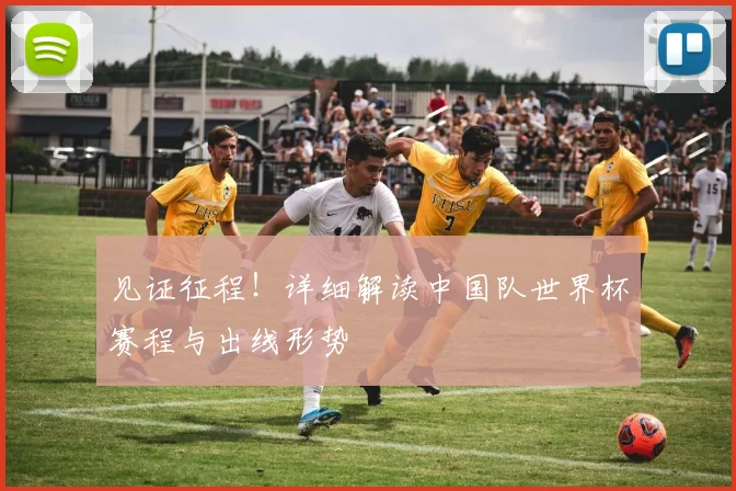 见证征程！详细解读中国队世界杯赛程与出线形势