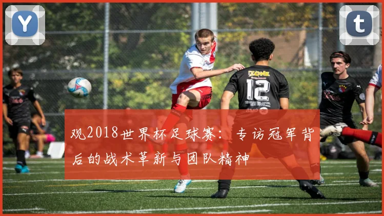 观2018世界杯足球赛：专访冠军背后的战术革新与团队精神
