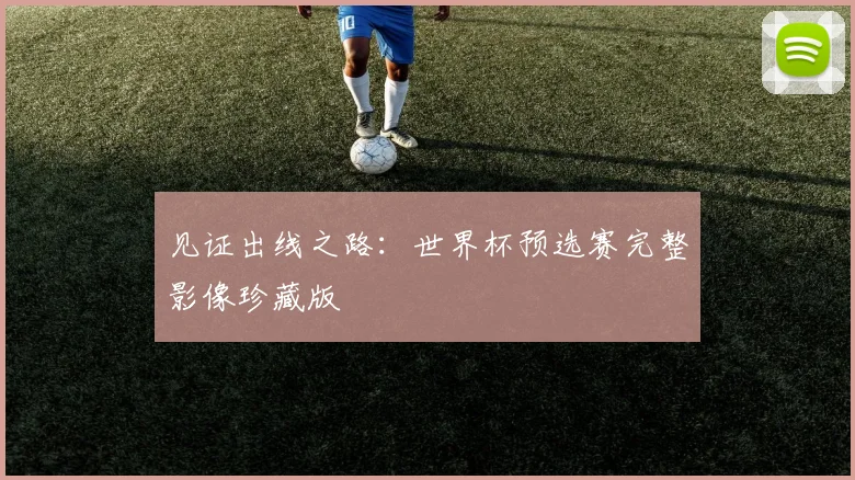 见证出线之路：世界杯预选赛完整影像珍藏版