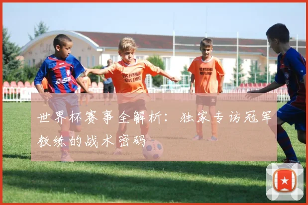 世界杯赛事全解析：独家专访冠军教练的战术密码