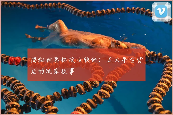 揭秘世界杯投注软件：五大平台背后的玩家故事