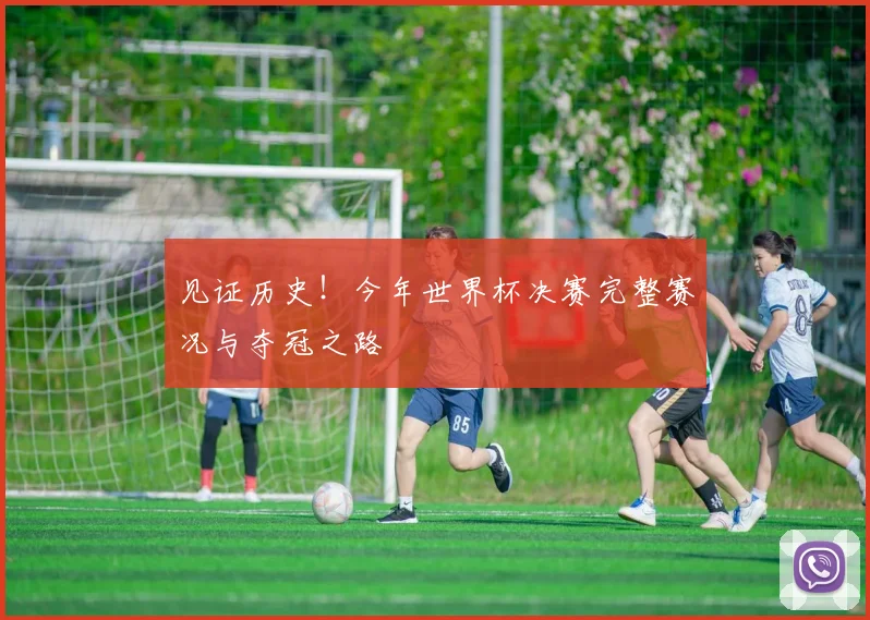 见证历史！今年世界杯决赛完整赛况与夺冠之路