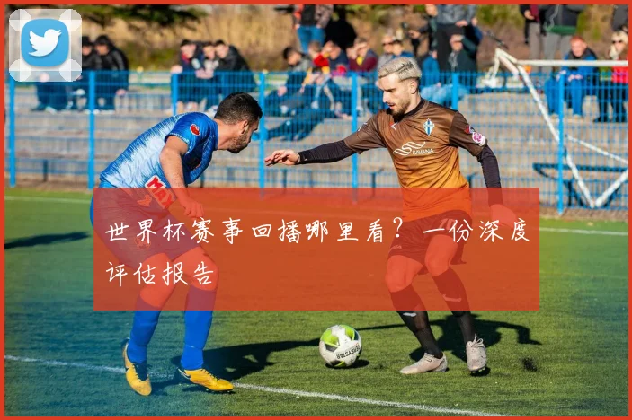 世界杯赛事回播哪里看？一份深度评估报告