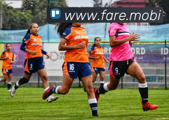 开云app官方版入口app发展历程